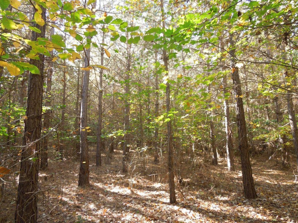 Mcduffie Road Biscoe, NC 27209 - Photo 10 of 10 Photo 10