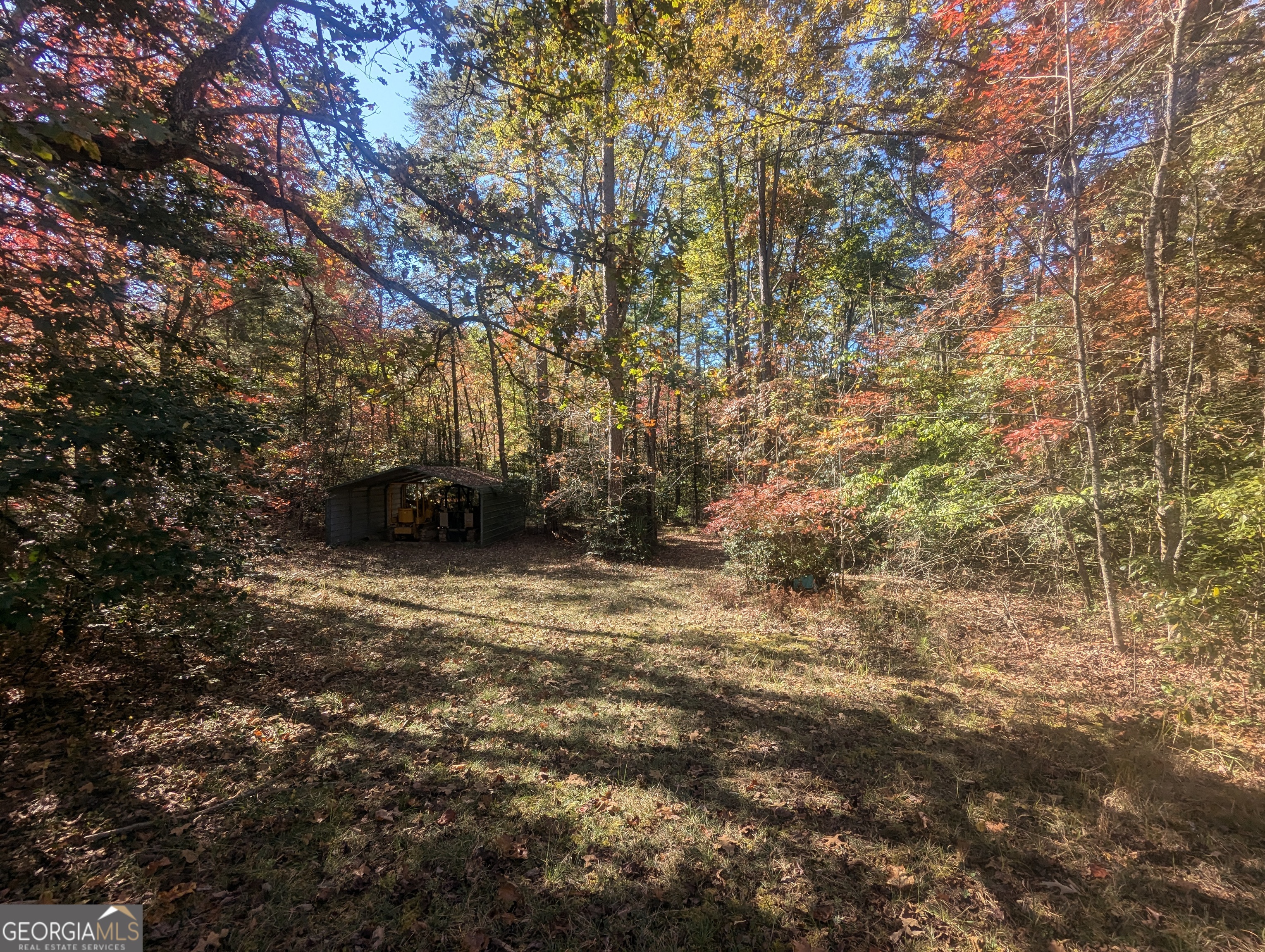 26.89-ac Shadow Lane Blue Ridge, GA 30513 - Photo 14 of 35 a view of outdoor space and yard