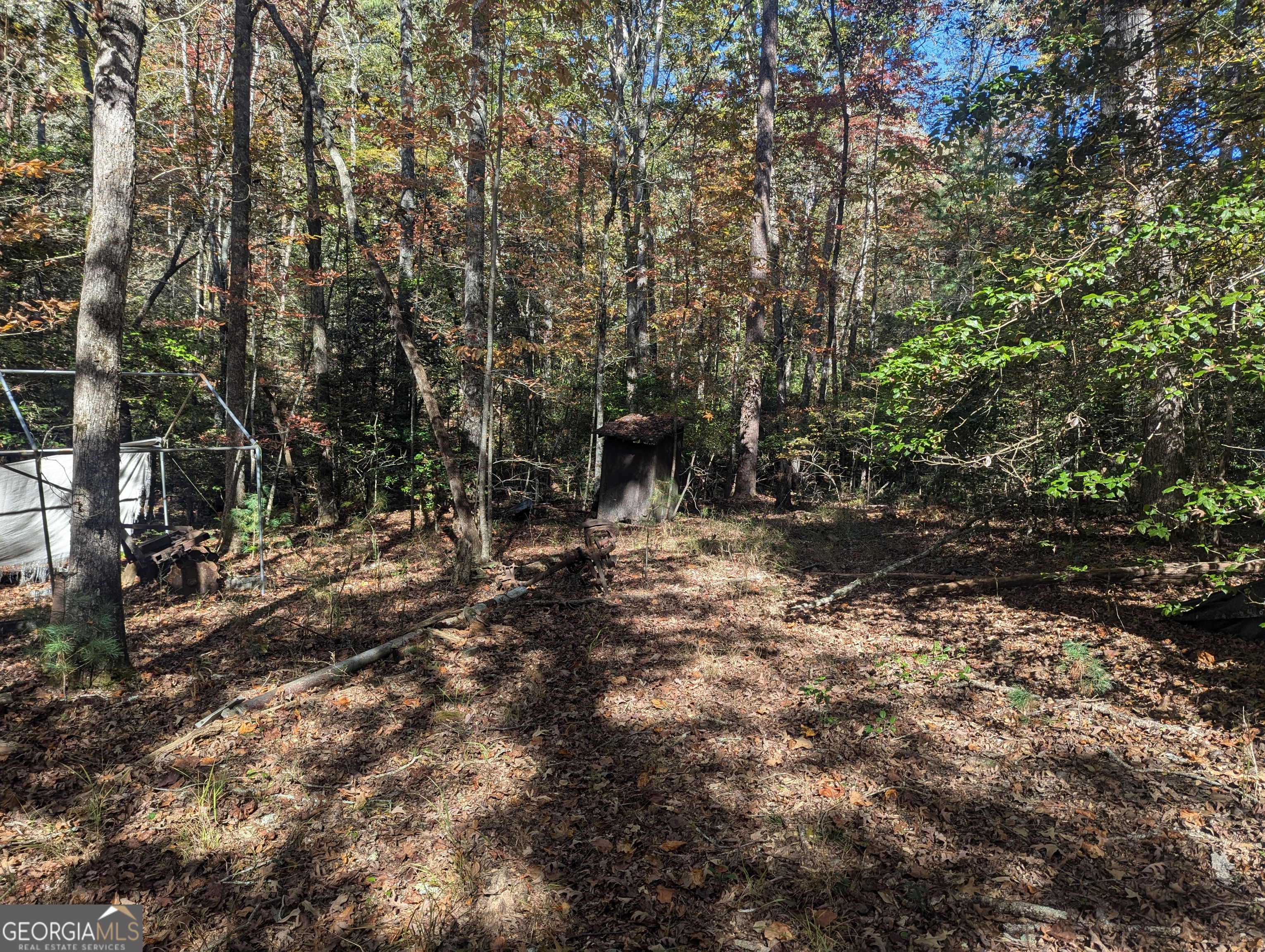 26.89-ac Shadow Lane Blue Ridge, GA 30513 - Photo 22 of 35 a view of a forest with trees