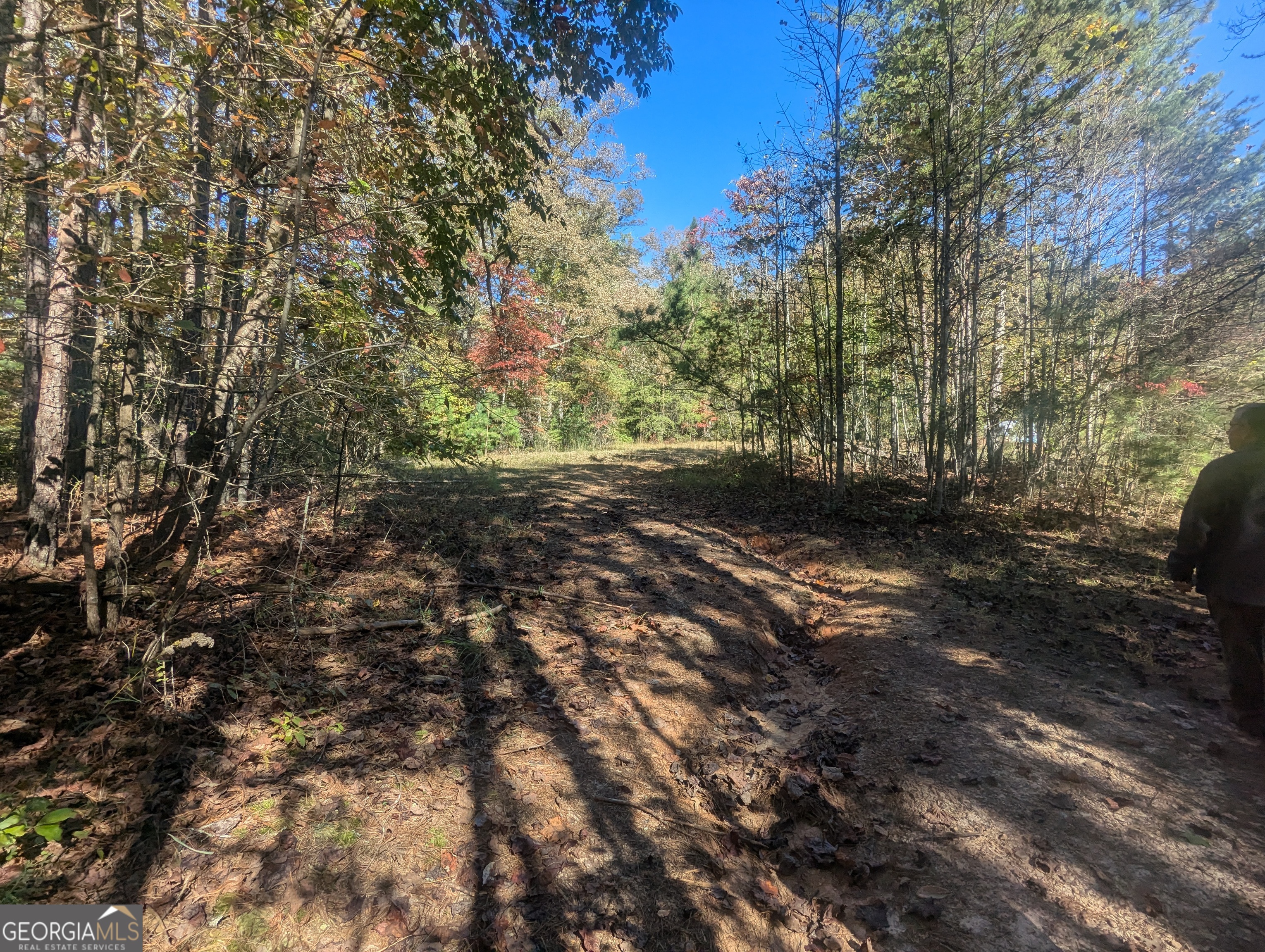 26.89-ac Shadow Lane Blue Ridge, GA 30513 - Photo 26 of 35 a view of outdoor space and yard