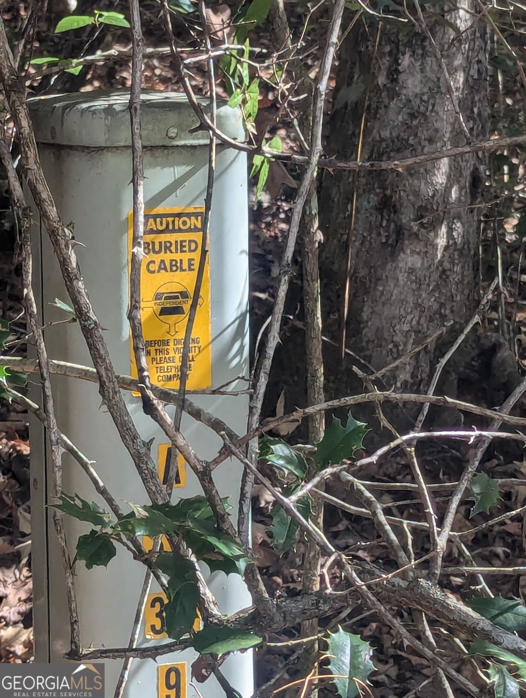 26.89-ac Shadow Lane Blue Ridge, GA 30513 - Photo 5 of 35