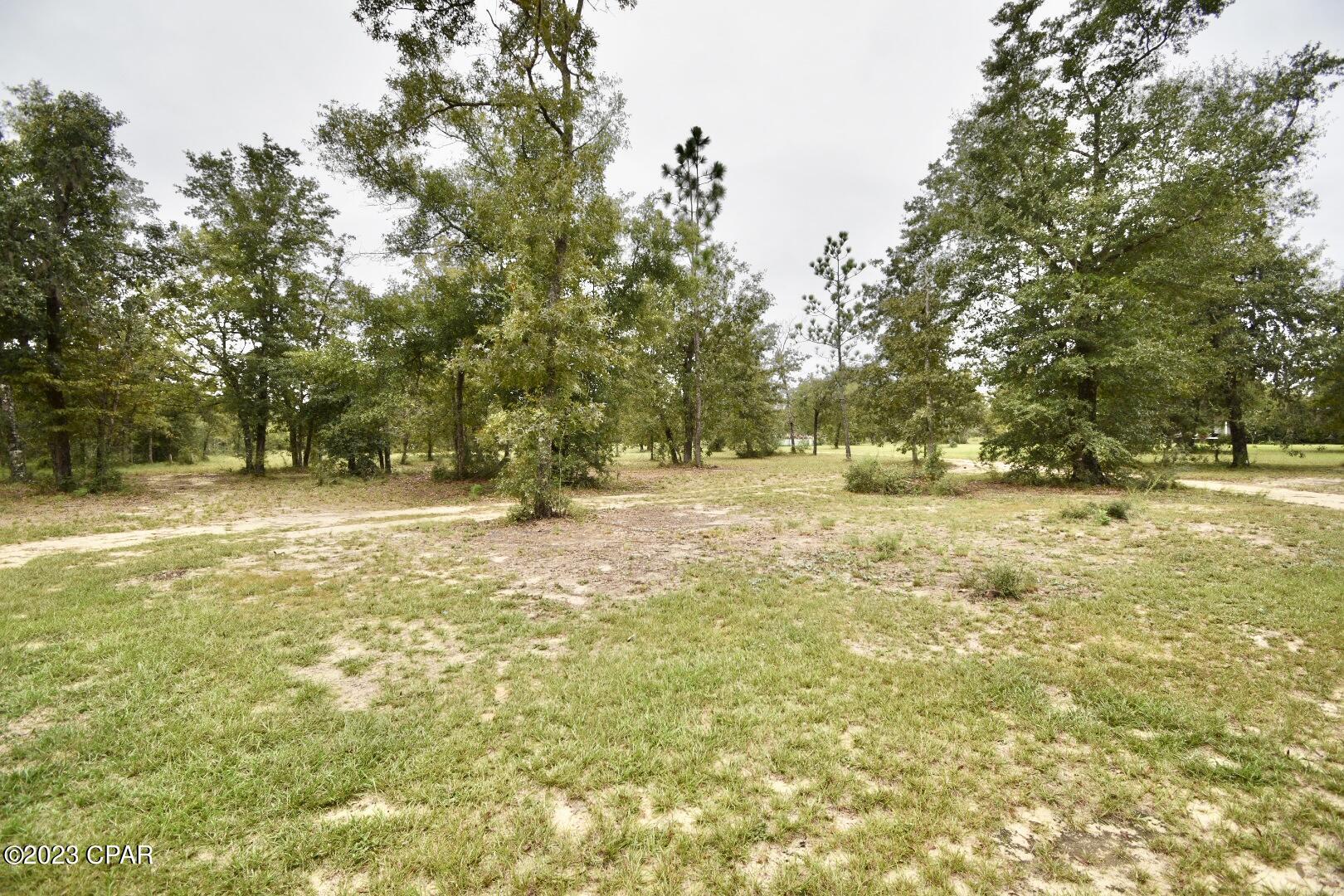 470 Goshun Creek Road Chipley, FL 32428 - Photo 24 of 35