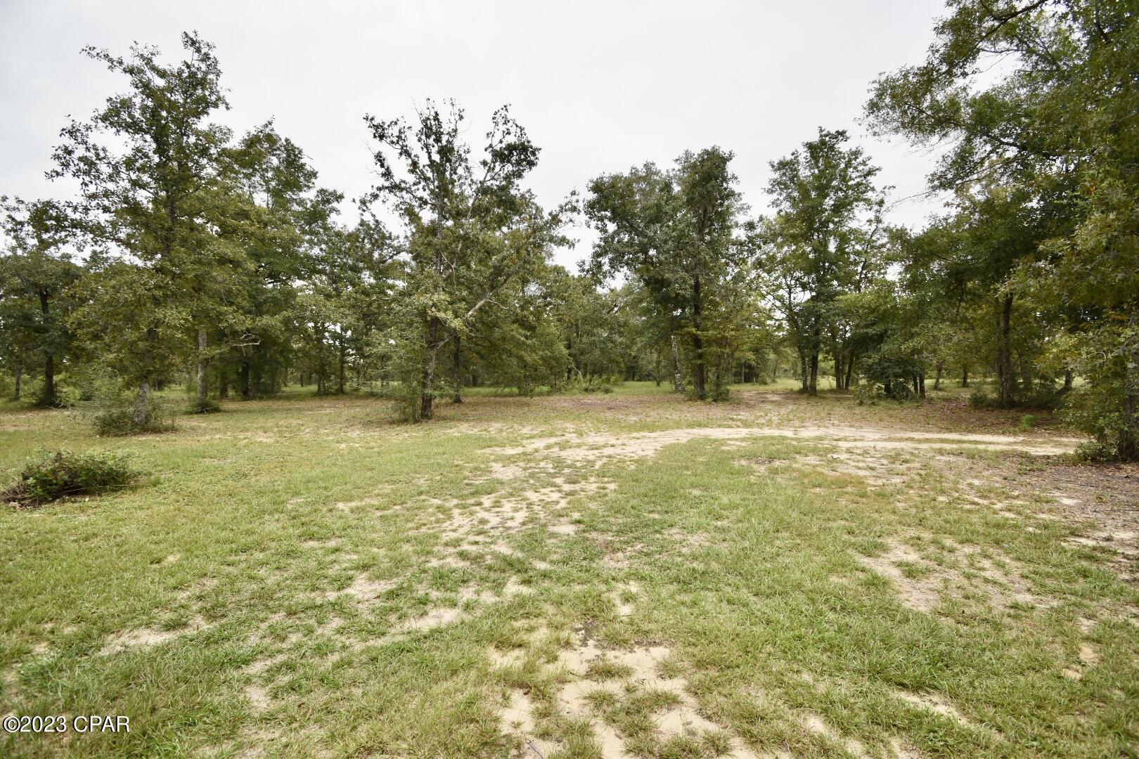 470 Goshun Creek Road Chipley, FL 32428 - Photo 29 of 35