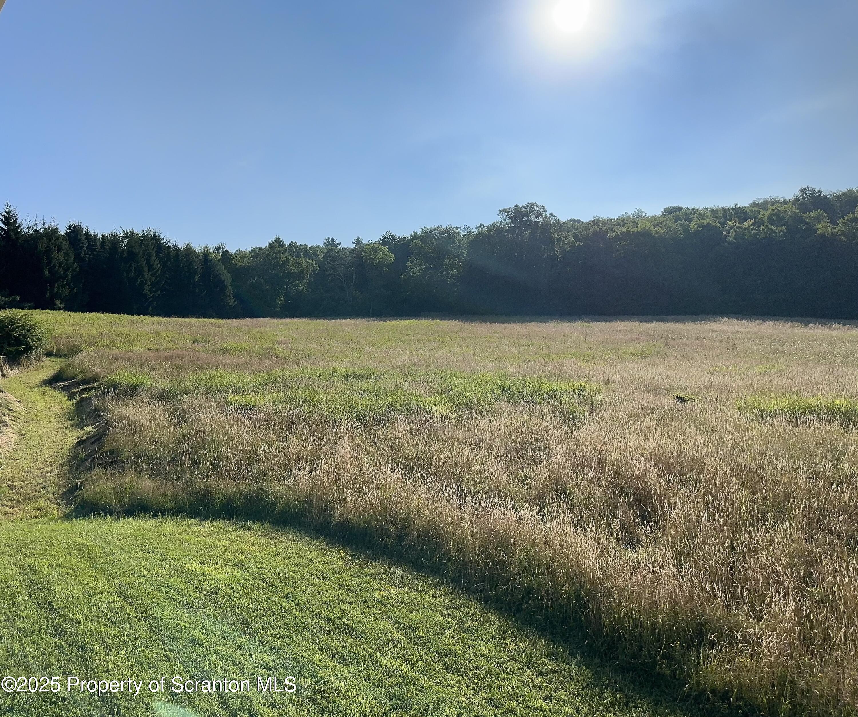 5290 Irish Hill Road Montrose, PA 18801 - Photo 45 of 62 Field