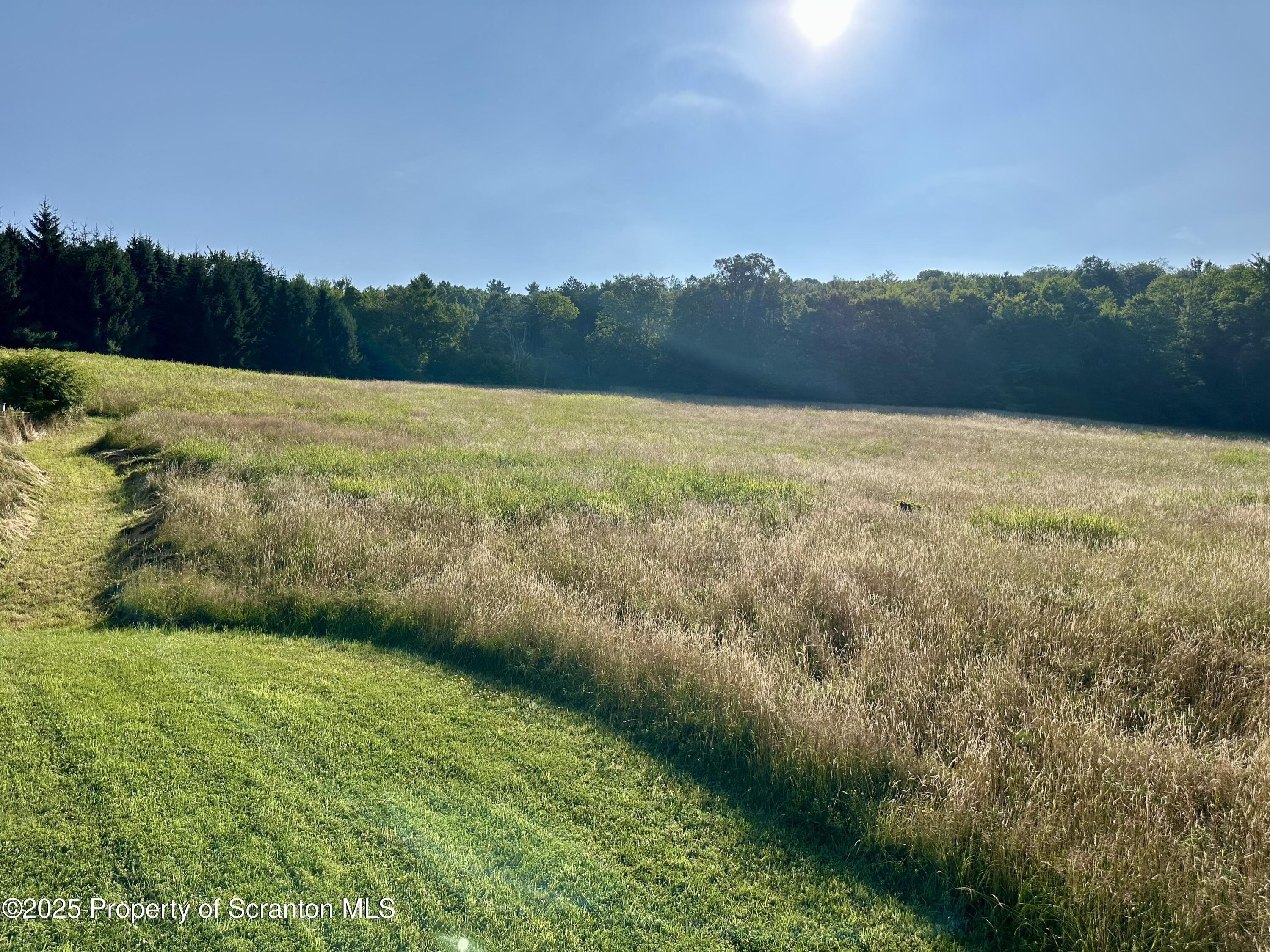 5290 Irish Hill Road Montrose, PA 18801 - Photo 47 of 62 Field