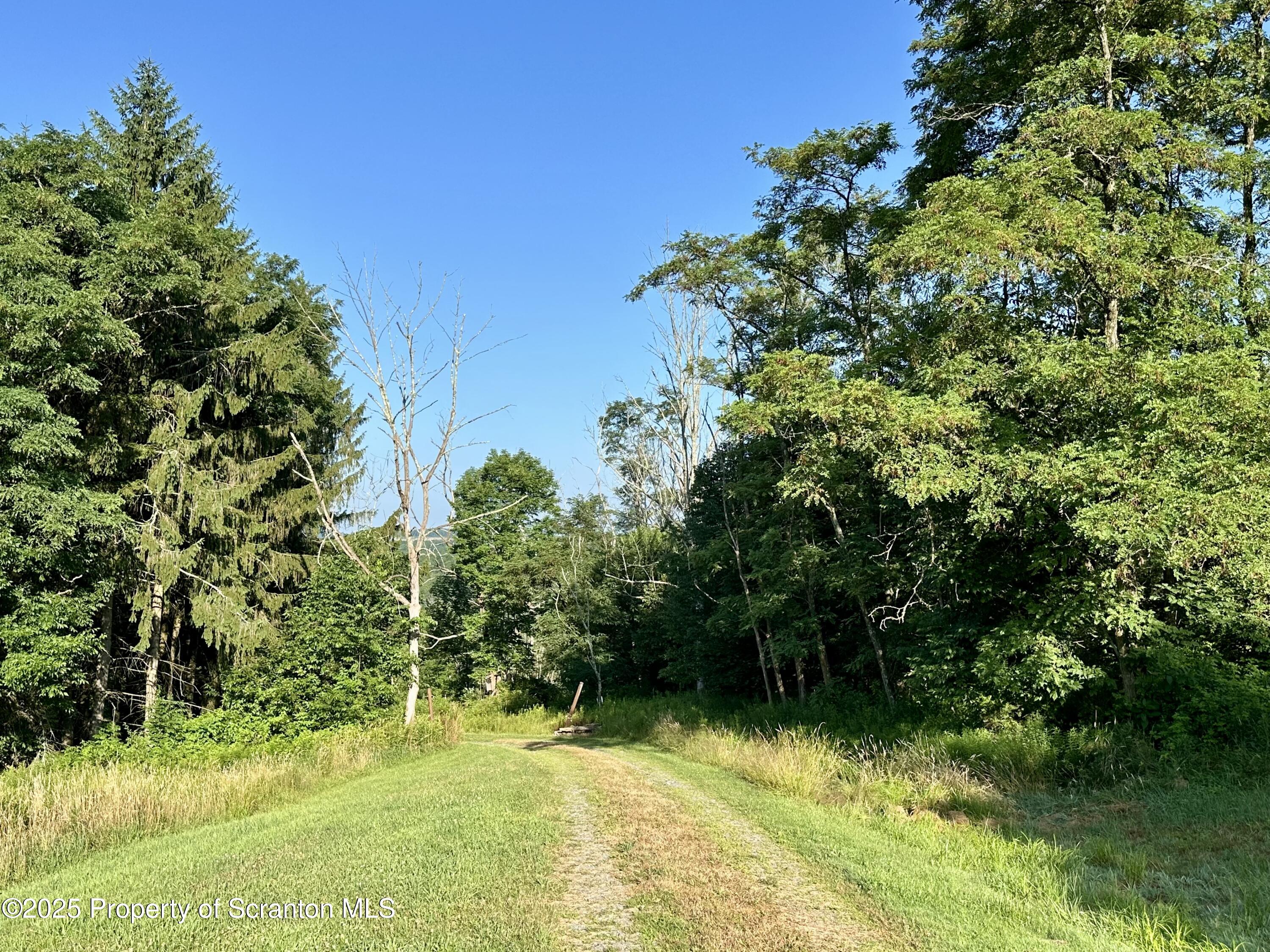 5290 Irish Hill Road Montrose, PA 18801 - Photo 50 of 62 IMG_5536