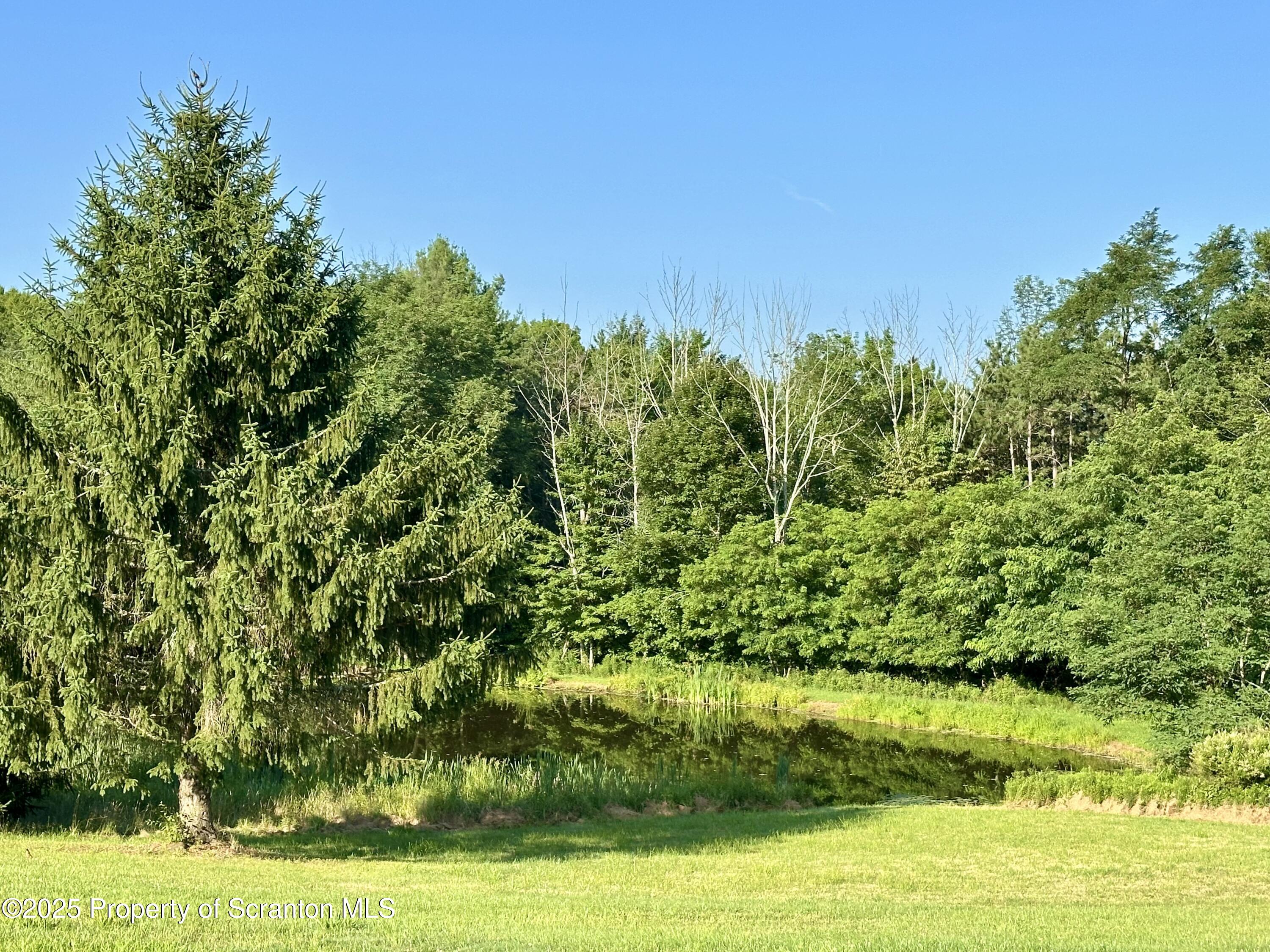 5290 Irish Hill Road Montrose, PA 18801 - Photo 57 of 62 pond