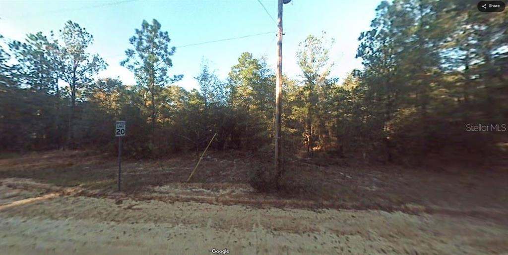 12307 3rd Street Fountain, FL 32438 - Photo 6 of 6