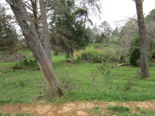 7120 Clapps Chapel Road Corryton, TN 37721 - Photo 5 of 7 IMG_0650