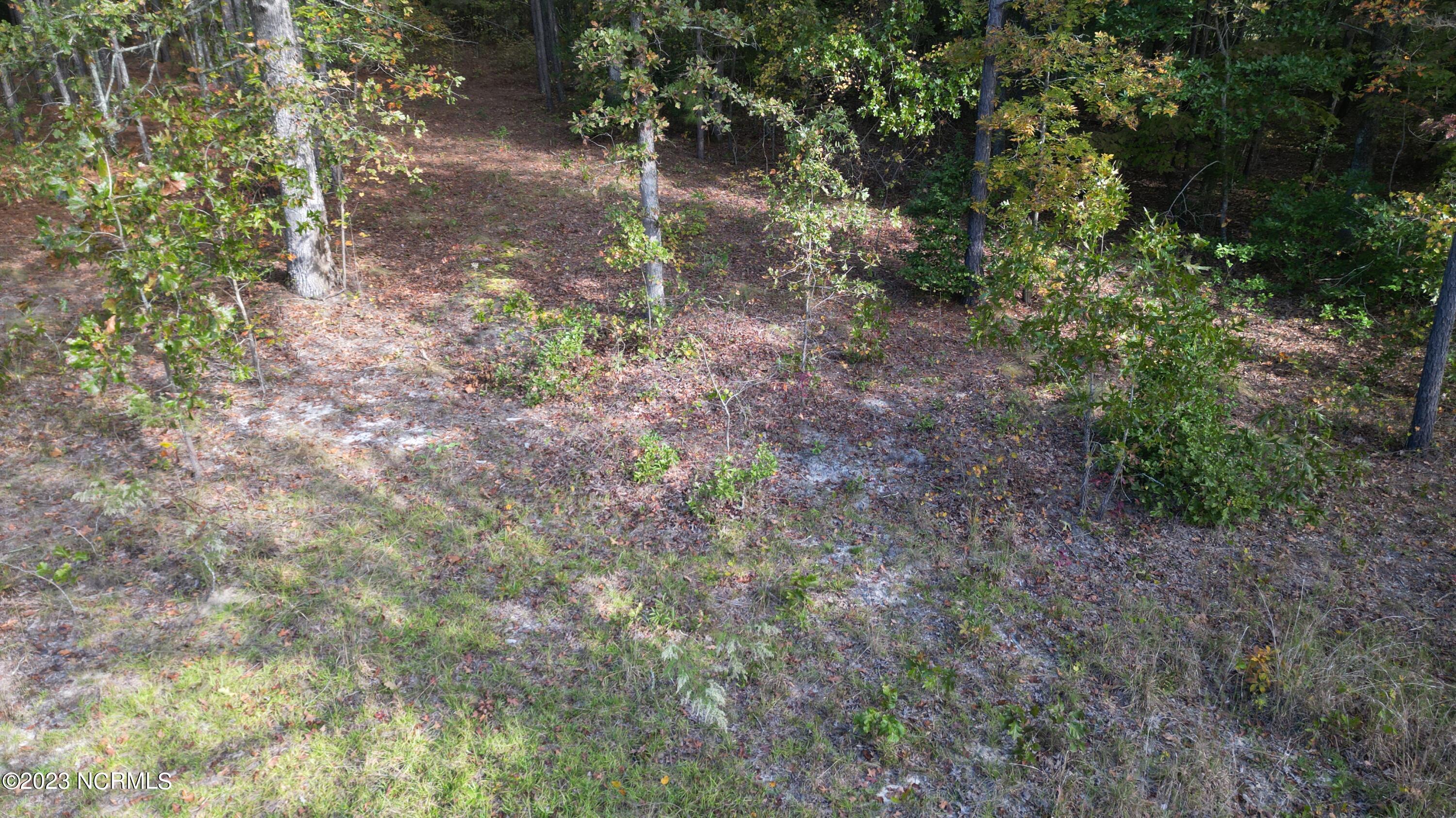 18.33-acre McPherson Road Vass, NC 28394 - Photo 33 of 39 DJI_0153