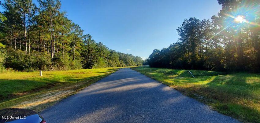 Lot 11 Eagle Rdg Road Vancleave, MS 39565 - Photo 1 of 9 Afternoon Sun
