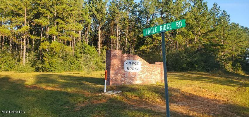 Lot 11 Eagle Rdg Road Vancleave, MS 39565 - Photo 2 of 9 Eagle Ridge Entrance