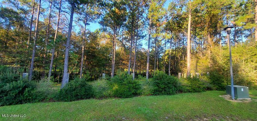 Lot 11 Eagle Rdg Road Vancleave, MS 39565 - Photo 3 of 9 Eagle Ridge 2