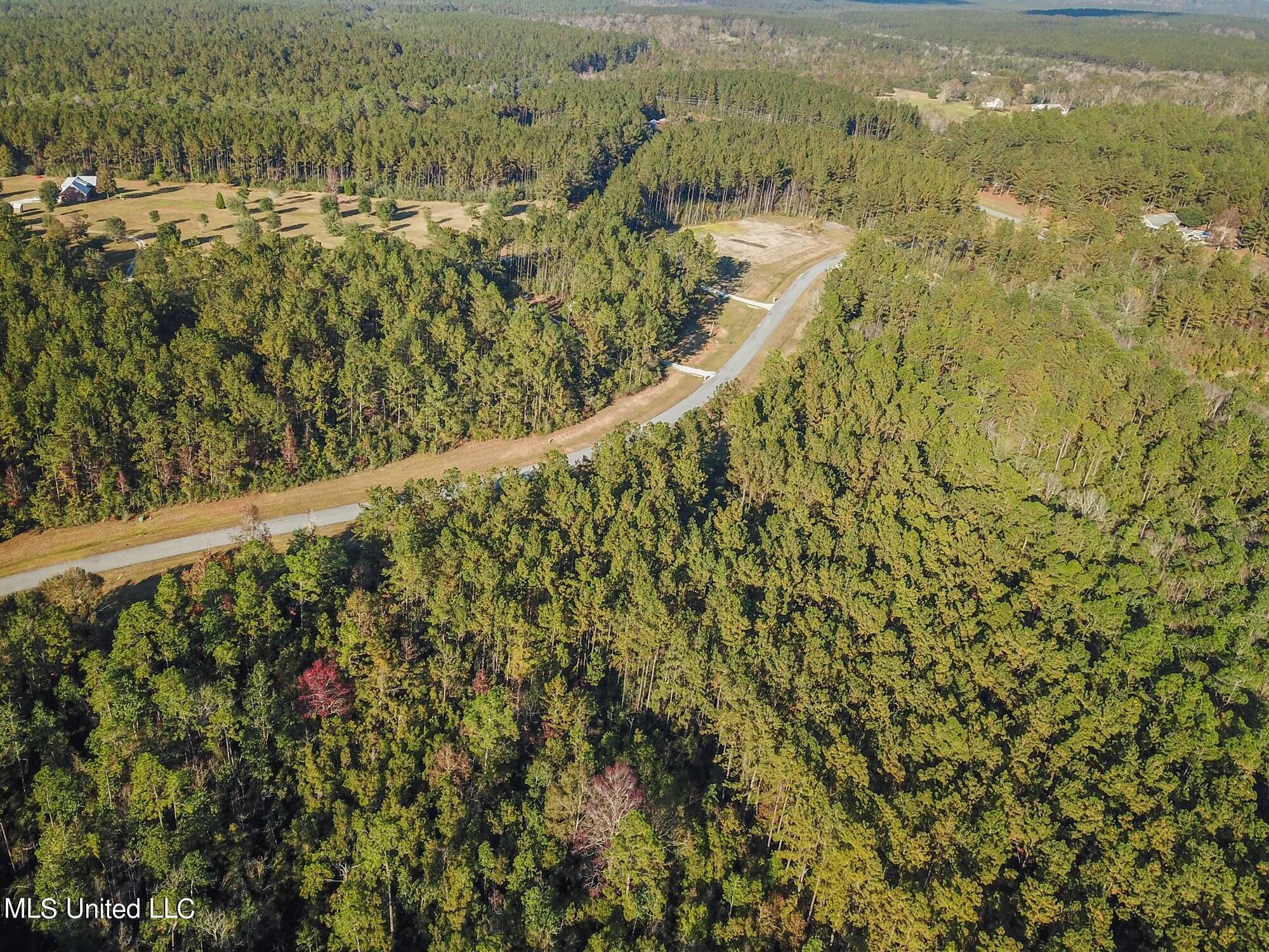 Lot 11 Eagle Rdg Road Vancleave, MS 39565 - Photo 7 of 9 Aerial 3