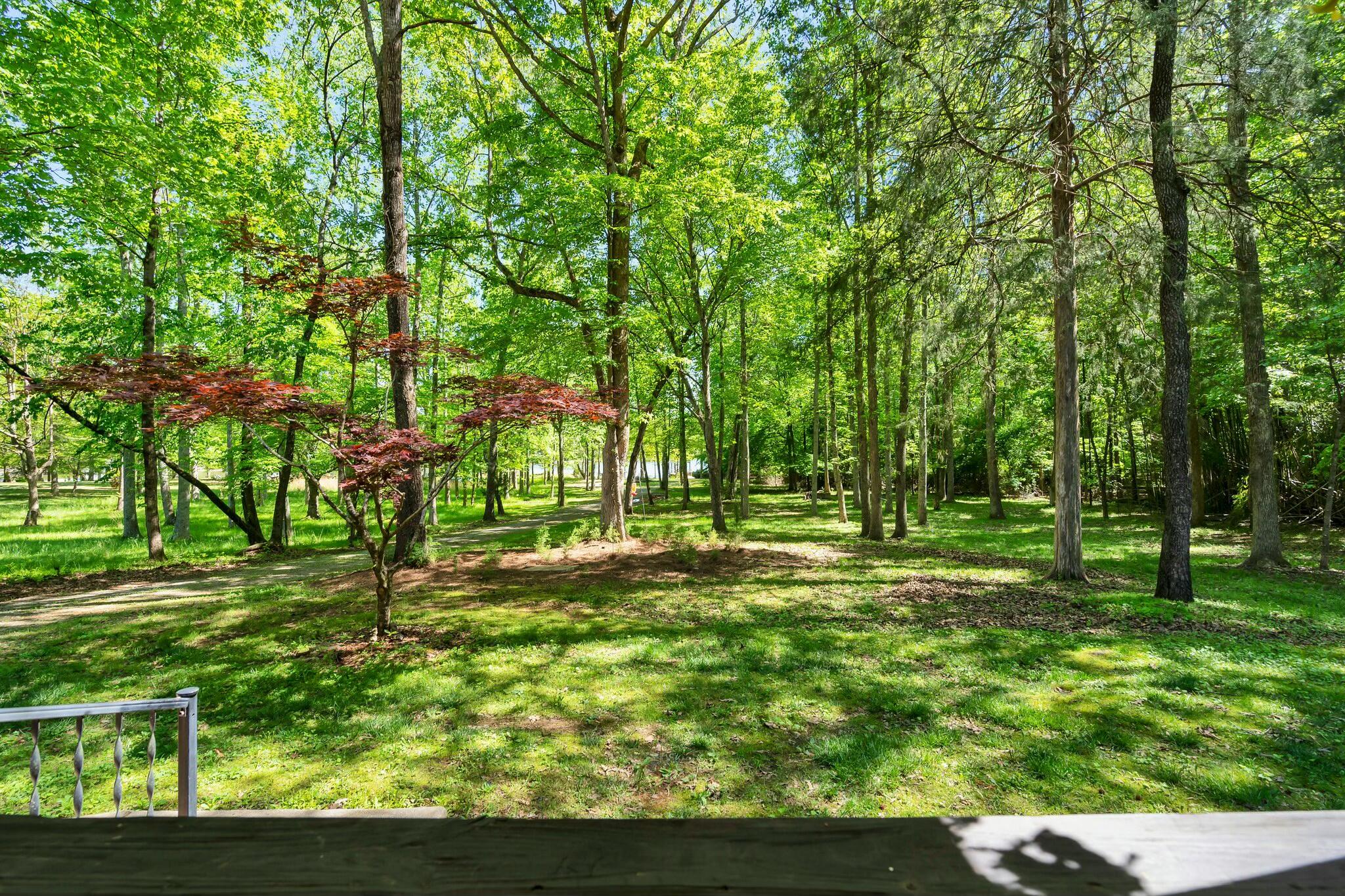 198 Amy Trail Spring City, TN 37381 - Photo 55 of 69 tempImageY5GA56