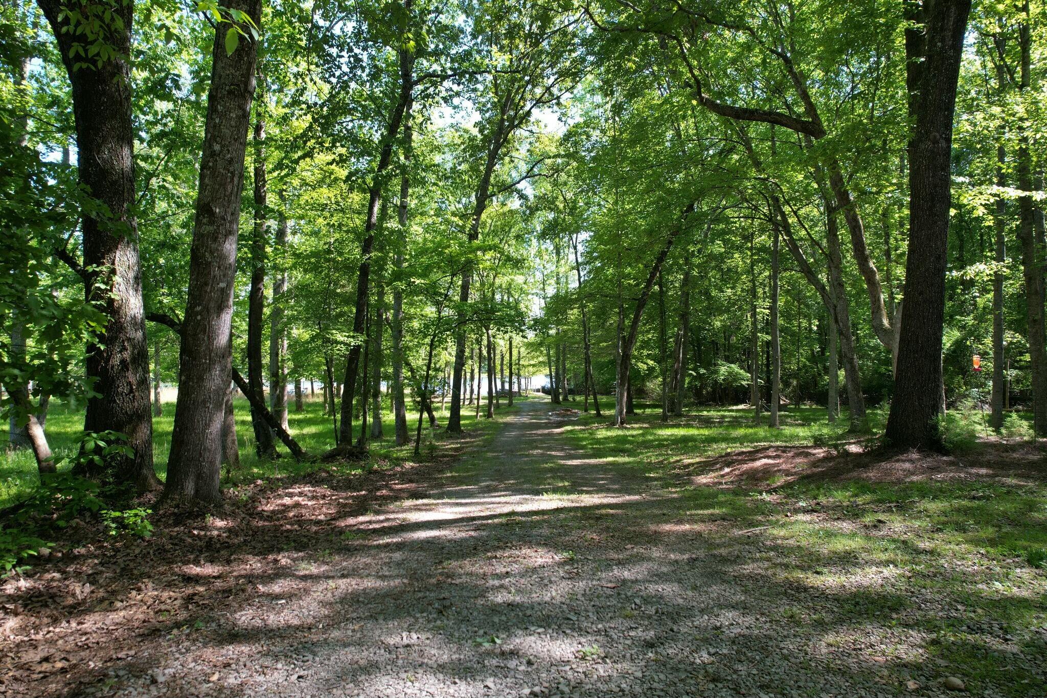 198 Amy Trail Spring City, TN 37381 - Photo 57 of 69 tempImagetCvZt4