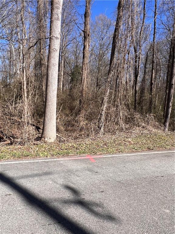 3537 Brock Road Gainesville, GA 30507 - Photo 2 of 3 a view of a yard with large trees