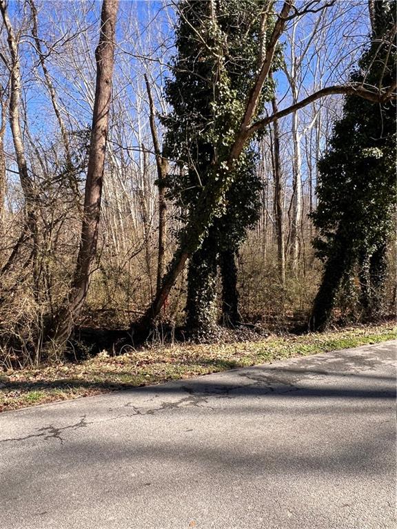 3537 Brock Road Gainesville, GA 30507 - Photo 3 of 3 a view of a backyard of a house