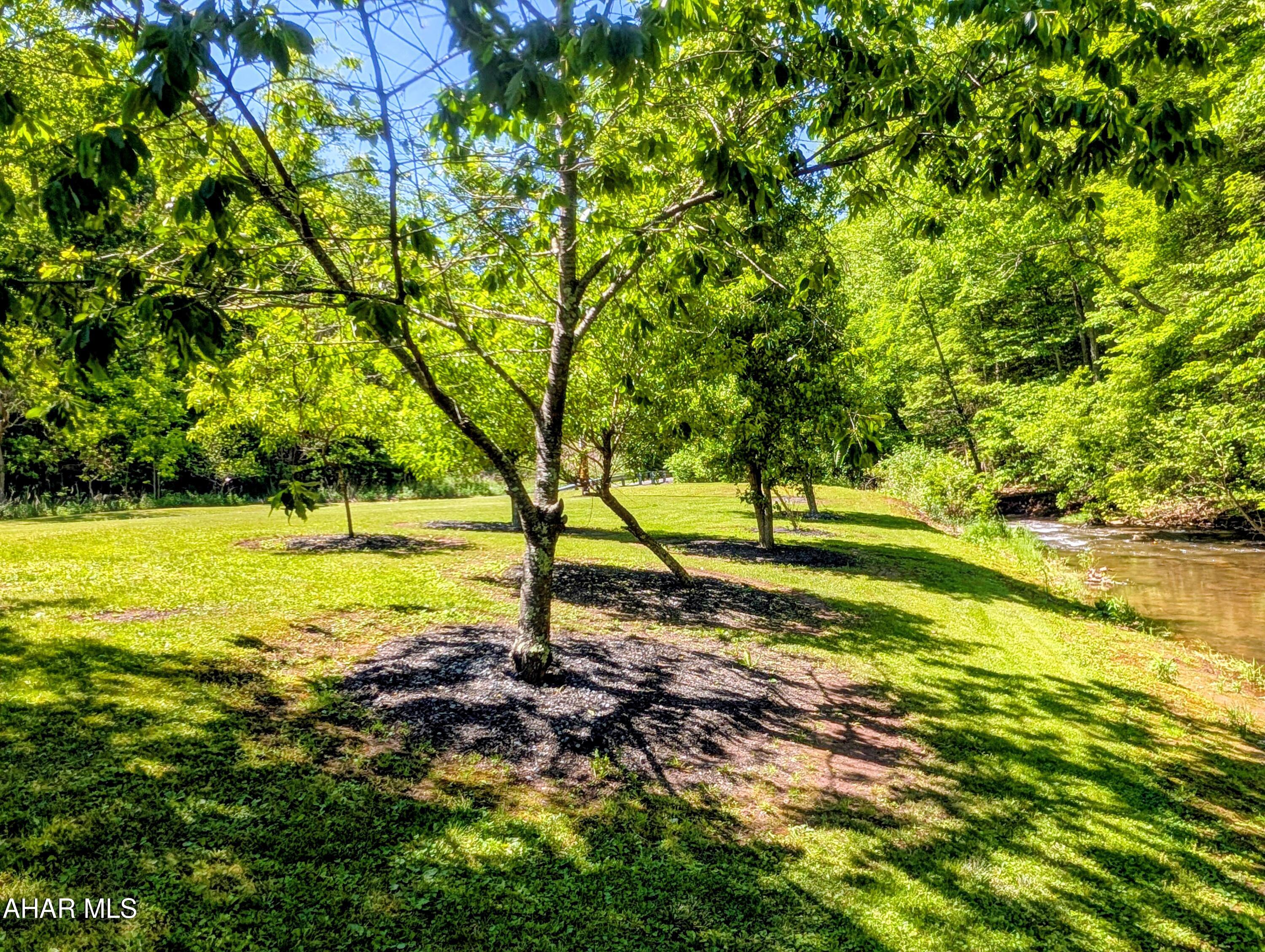 213 Sherman Valley Road Hopewell, PA 16650 - Photo 98 of 104 a view of a yard with a tree