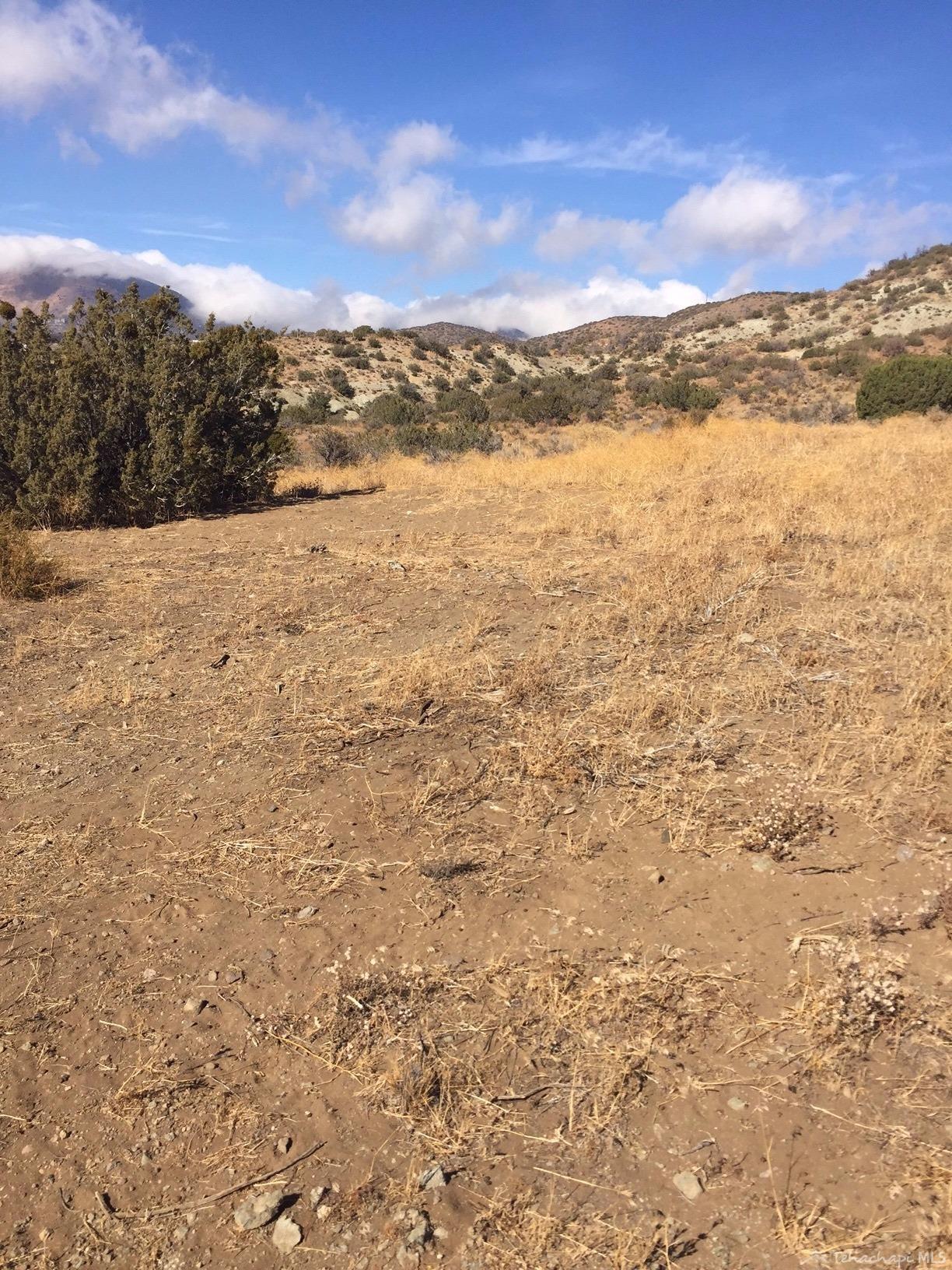 0 Pretoria Road Tehachapi, CA 93561 - Photo 1 of 2 Gallery Image 1