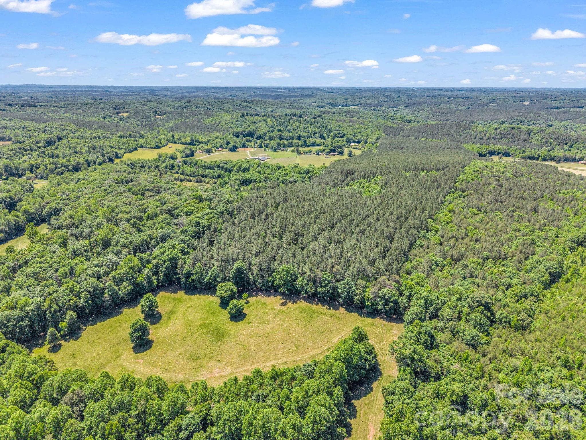 0 Jim Dobbins Road Rutherfordton, NC 28139 - Photo 15 of 39 a view of a big yard with lots of green space