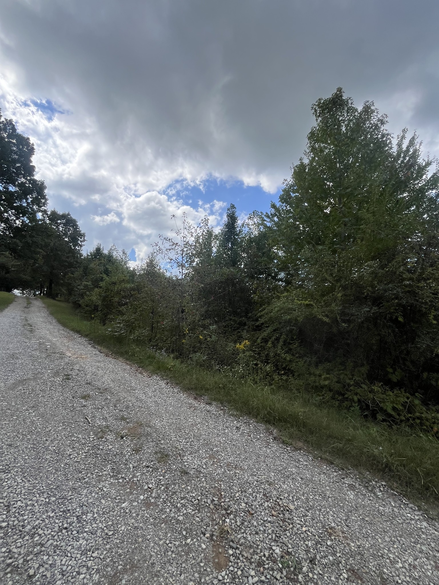 0 Moss Branch Road Bon Aqua, TN 37025 - Photo 3 of 3