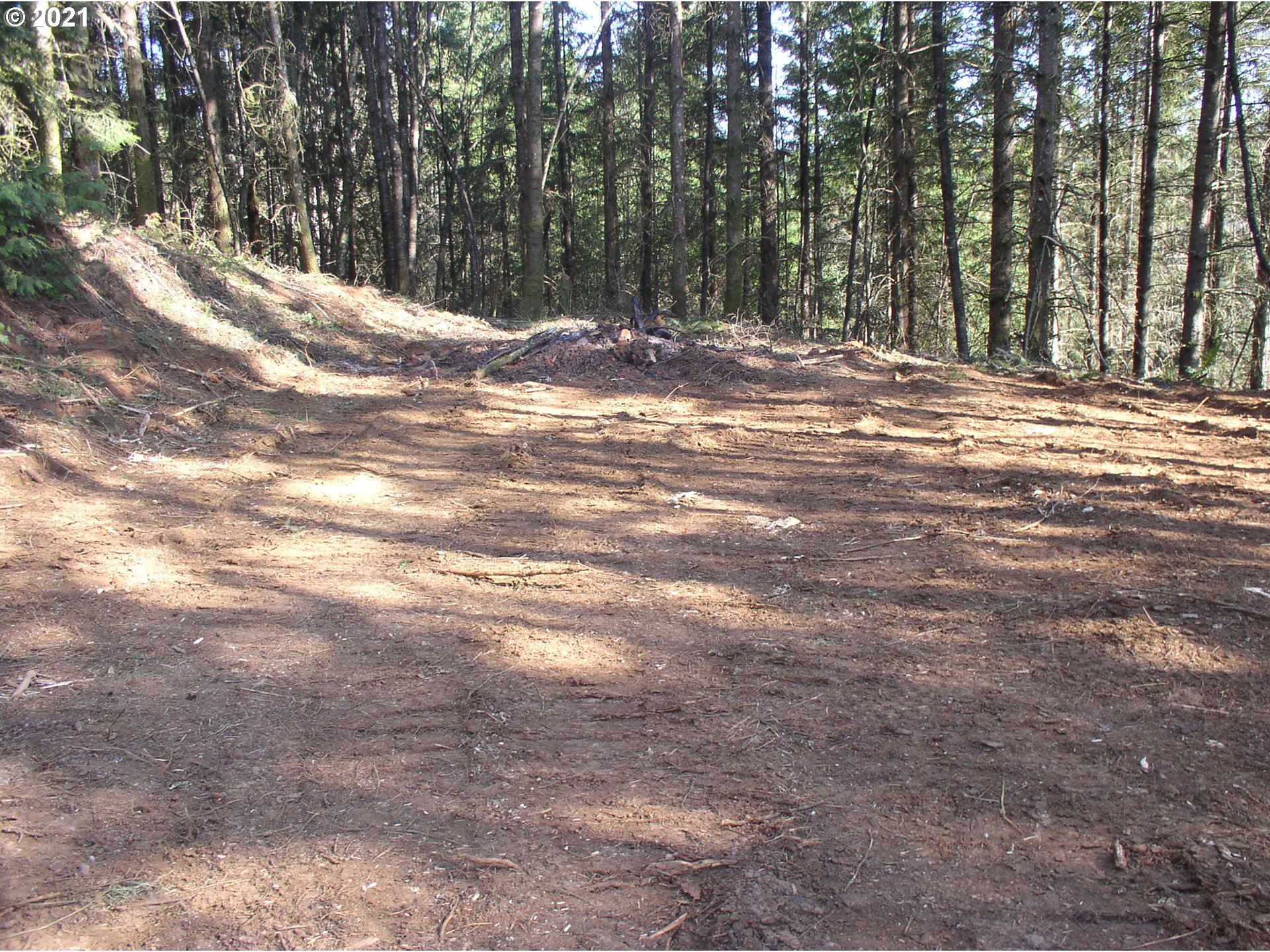 3494 Southeast Mannthey Road Corbett, OR 97019 - Photo 10 of 19 a view of a yard with large trees