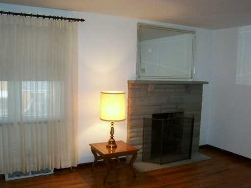 207 Hester Avenue McKees Rocks, PA 15136 - Photo 3 of 8