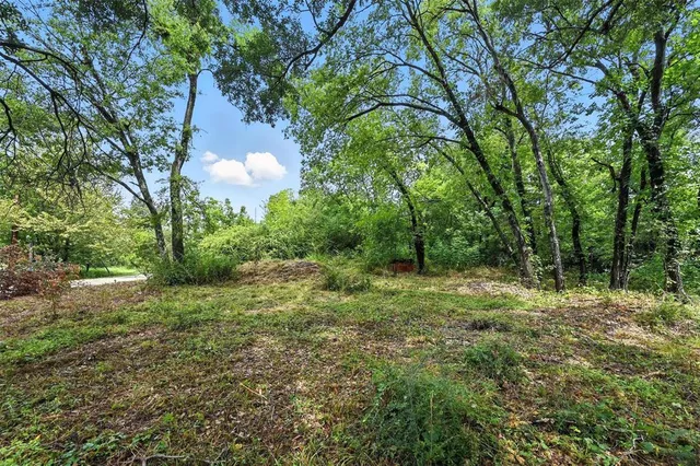 a big yard with lots of green space and deers