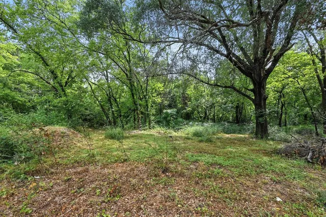 a big yard with lots of green space and deers
