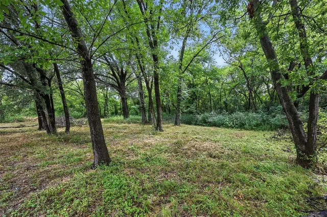 a big yard with lots of green space and trees