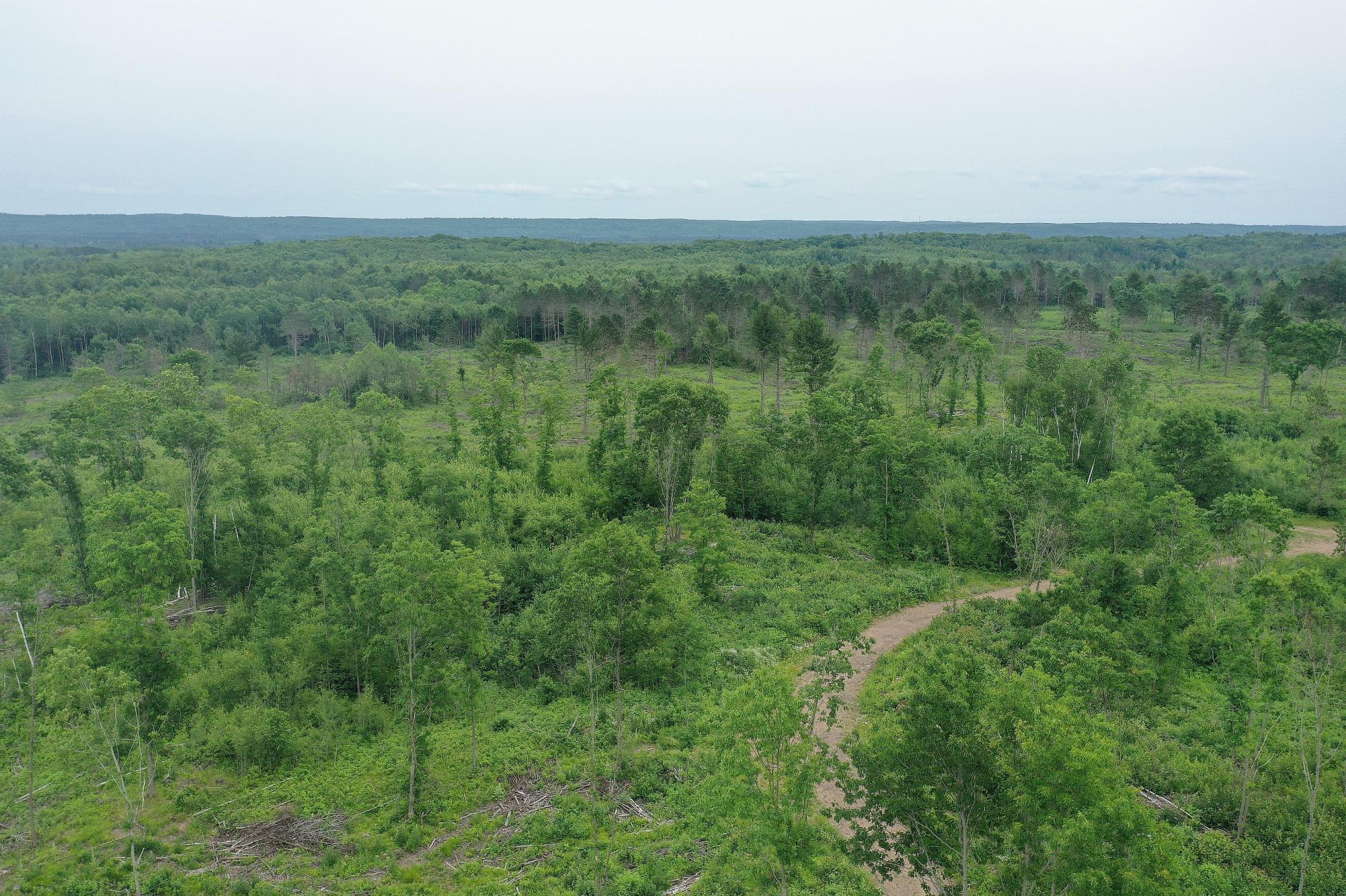 Tbd North Larsen Road Hayward, WI 54843 - Photo 11 of 33