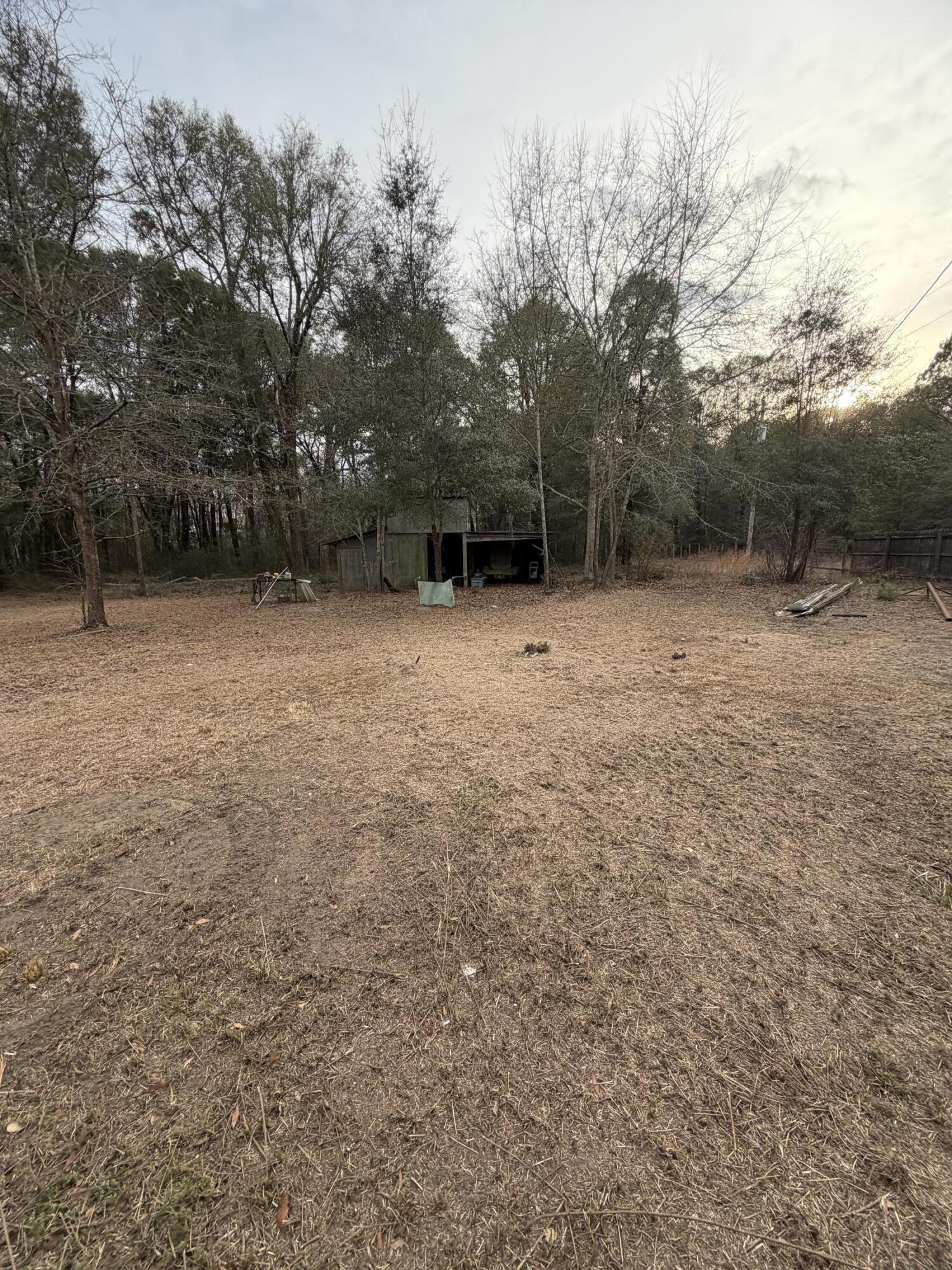 5403 Wire Road Branchville, SC 29432 - Photo 10 of 10 IMG_1002