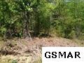 92 Geisz Way Sevierville, TN 37862 - Photo 4 of 6