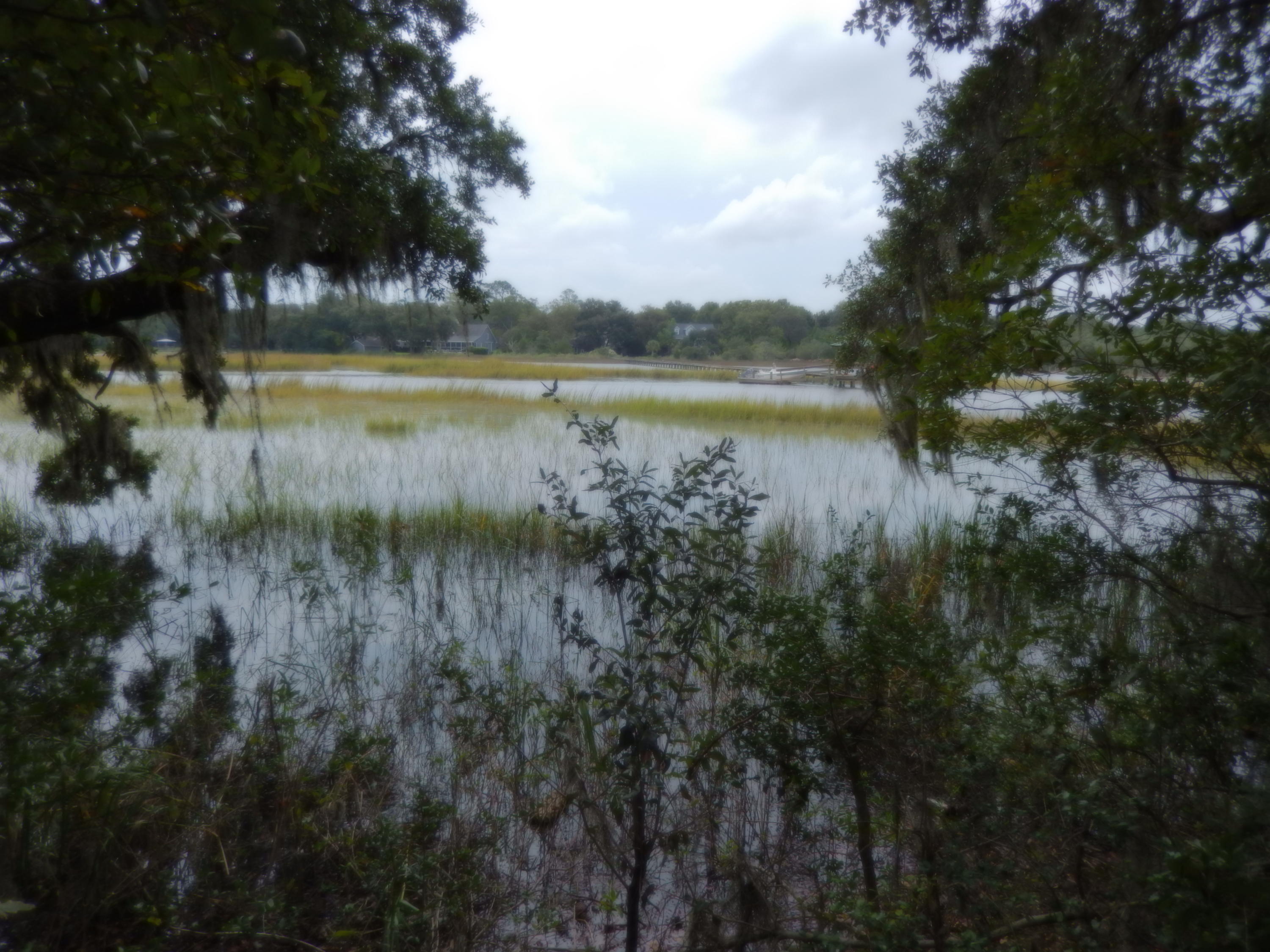 720 Riley Road, Unit LOT B Charleston, SC 29412 - Photo 1 of 14 DSCN2662