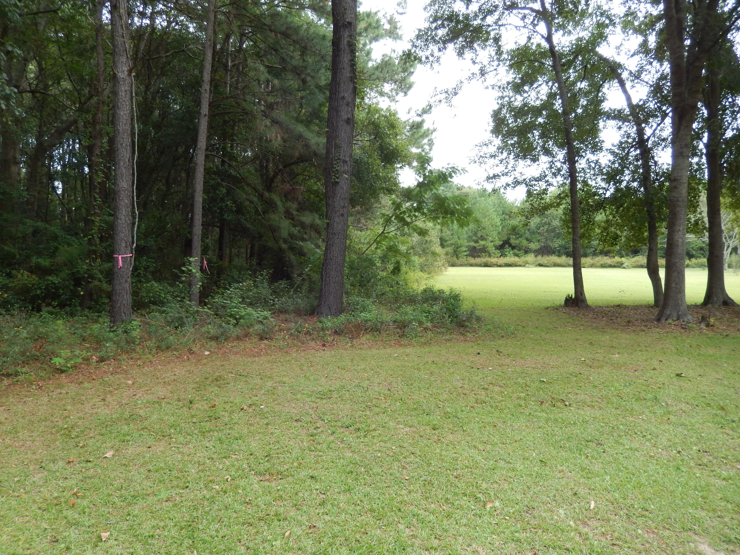 720 Riley Road, Unit LOT B Charleston, SC 29412 - Photo 2 of 14 DSCN2657