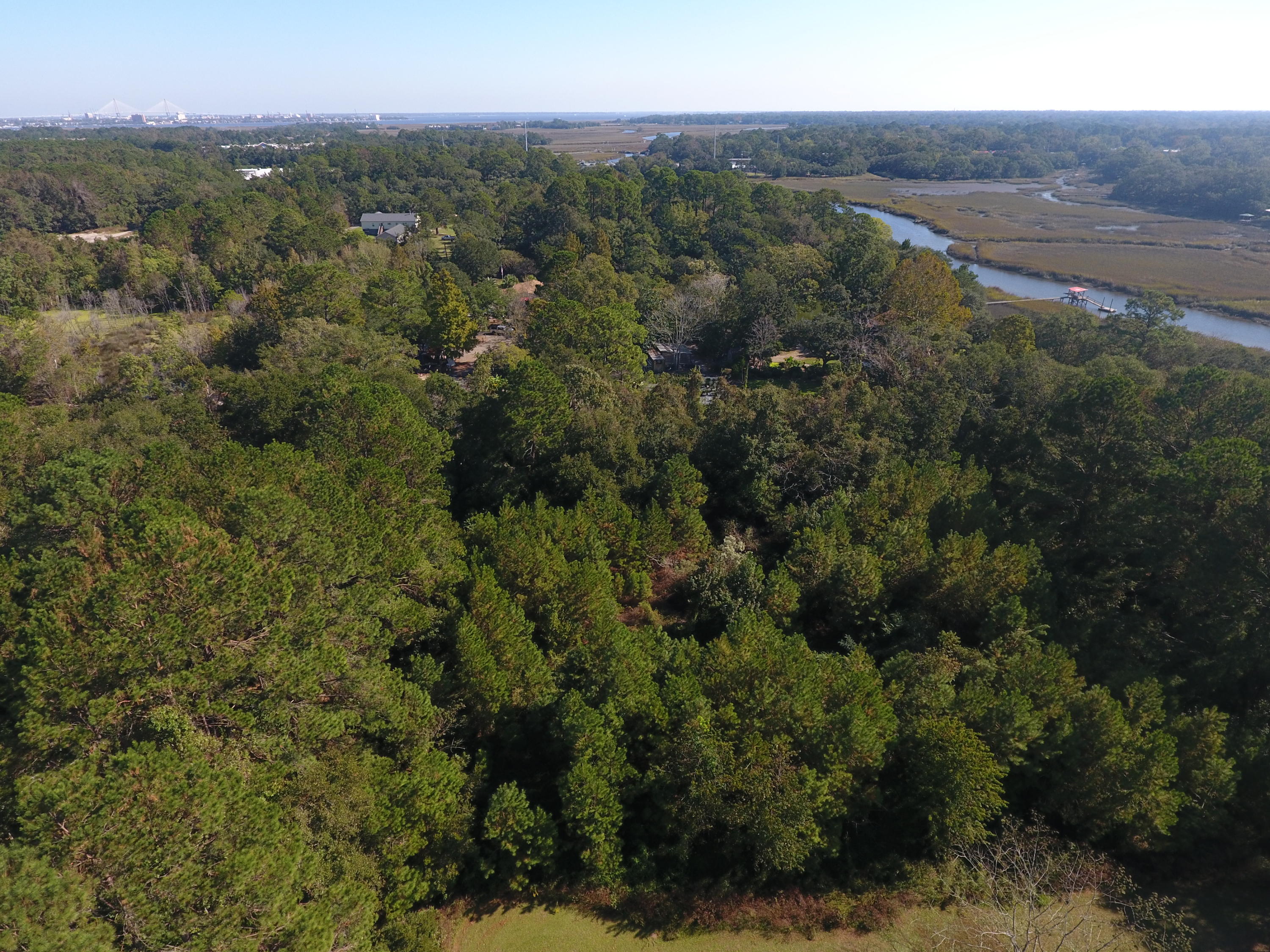 720 Riley Road, Unit LOT B Charleston, SC 29412 - Photo 12 of 14 DJI_0035
