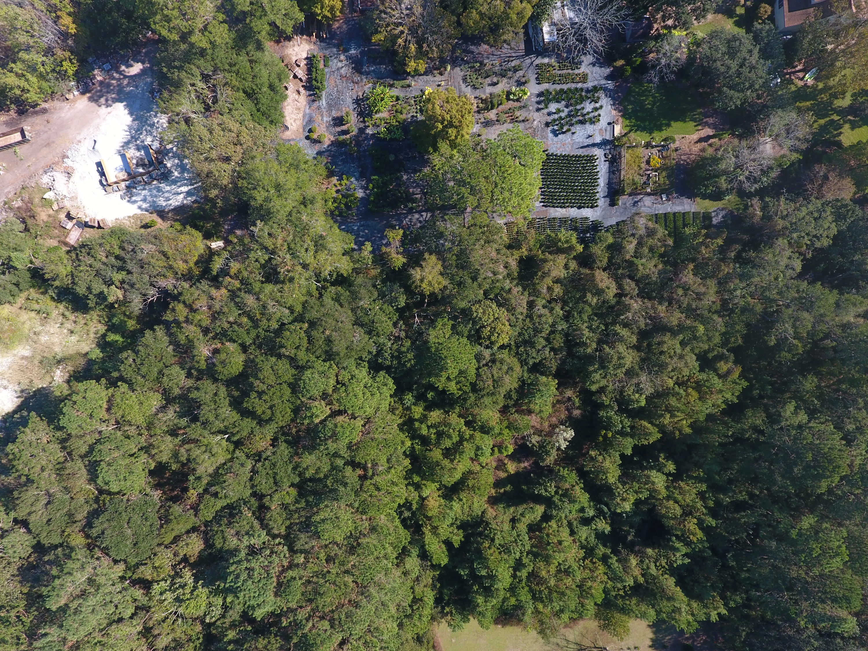 720 Riley Road, Unit LOT B Charleston, SC 29412 - Photo 13 of 14 DJI_0038