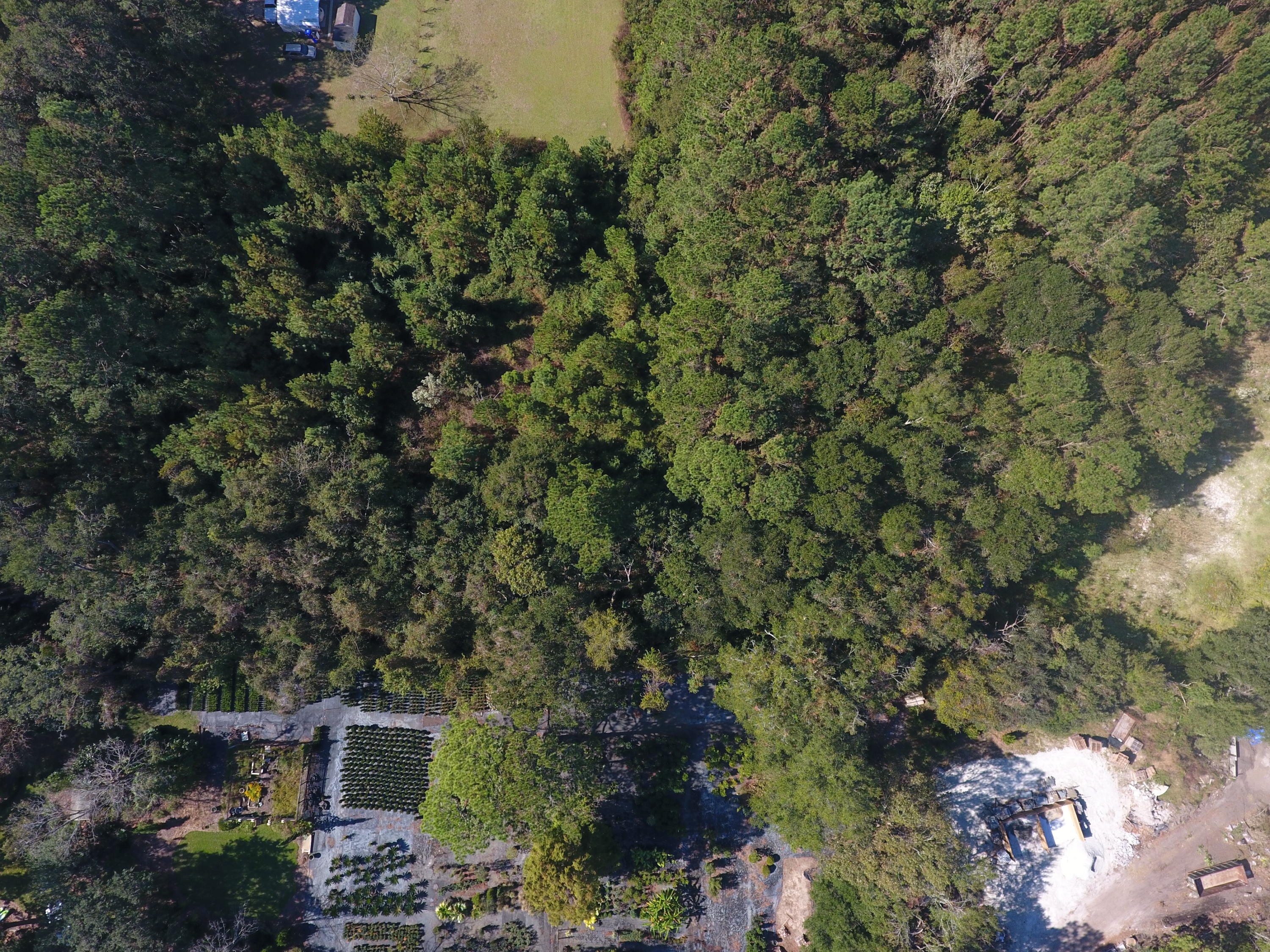 720 Riley Road, Unit LOT B Charleston, SC 29412 - Photo 14 of 14 DJI_0039