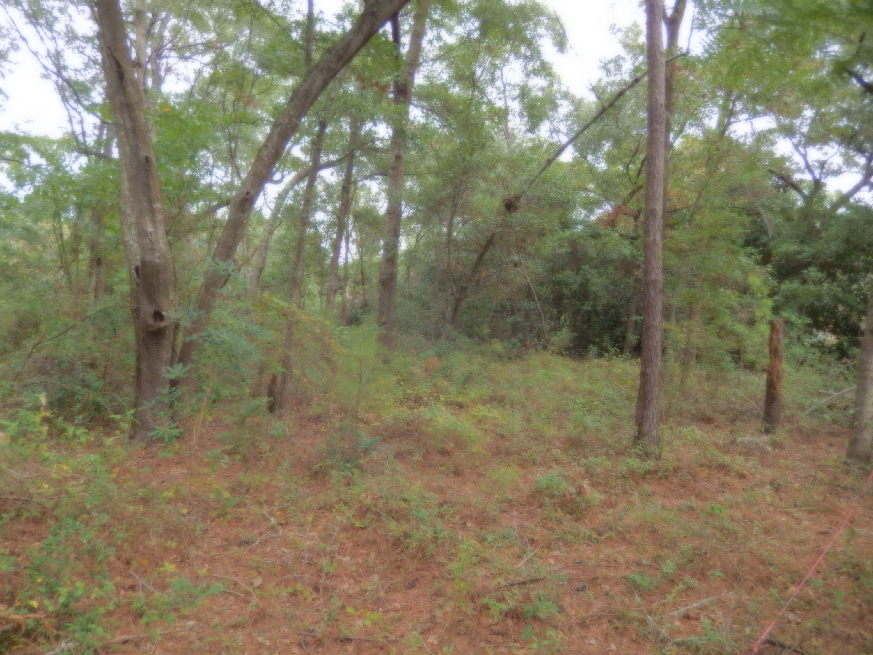 720 Riley Road, Unit LOT B Charleston, SC 29412 - Photo 5 of 14 DSCN2663