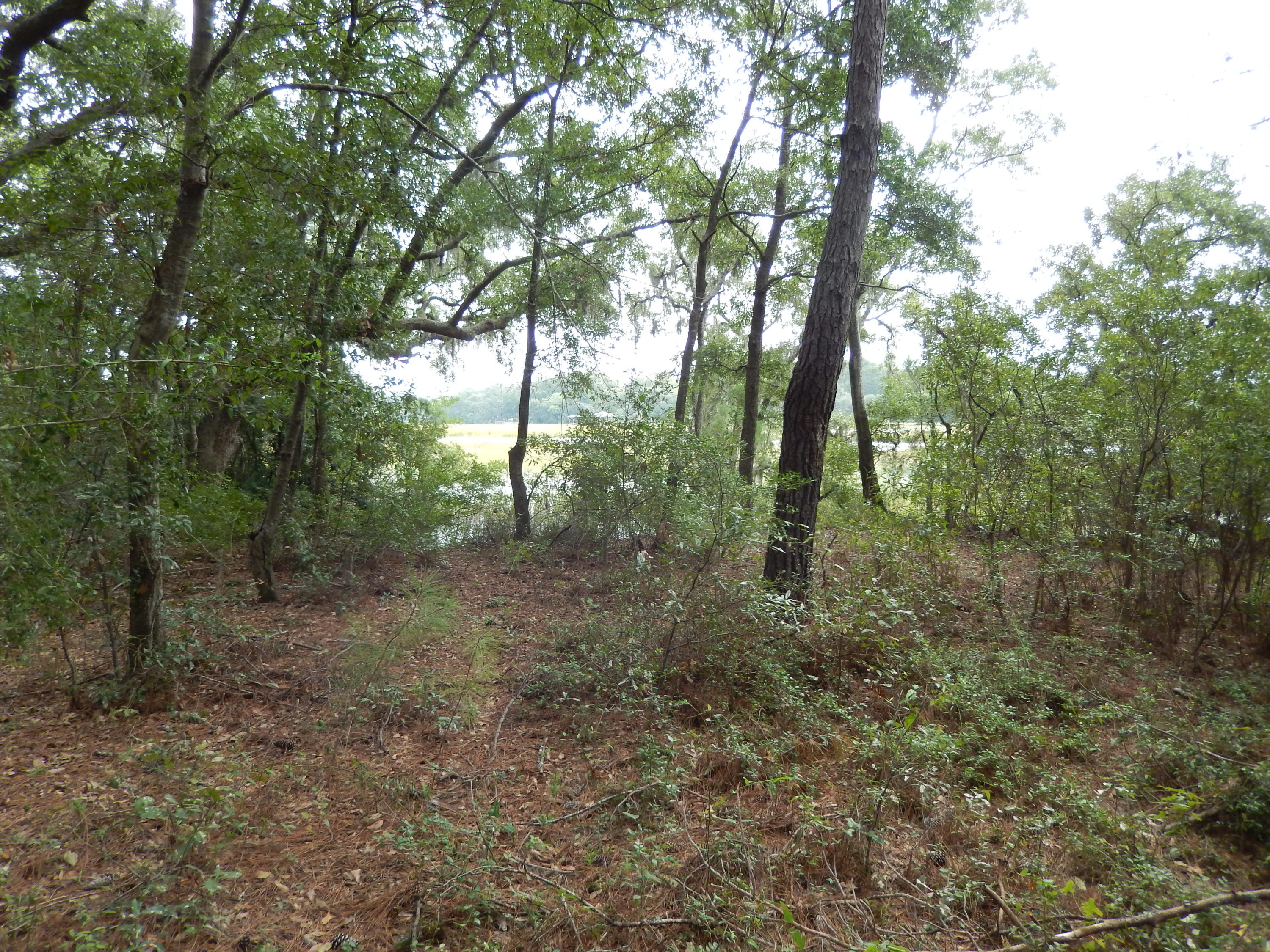 720 Riley Road, Unit LOT B Charleston, SC 29412 - Photo 7 of 14 DSCN2664