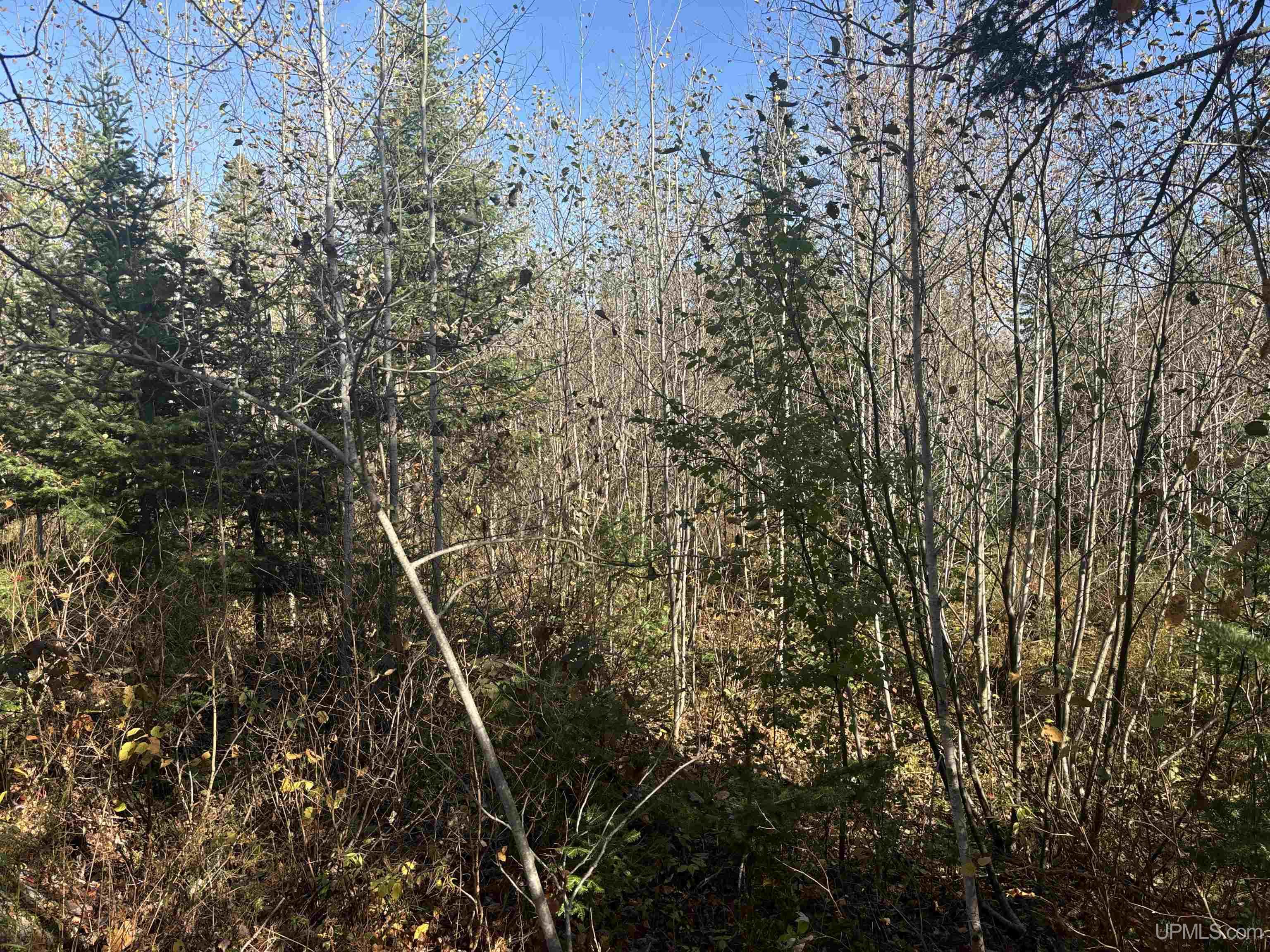 Tbd Johnson Road Bessemer, MI 49911 - Photo 24 of 39 Gallery Image 24