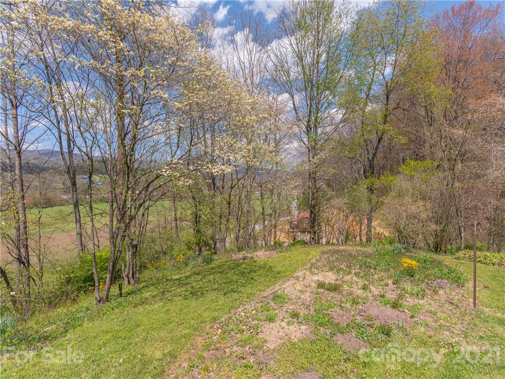 313 Shady Ridge Road Waynesville, NC 28785 - Photo 19 of 28 Gallery Image 19