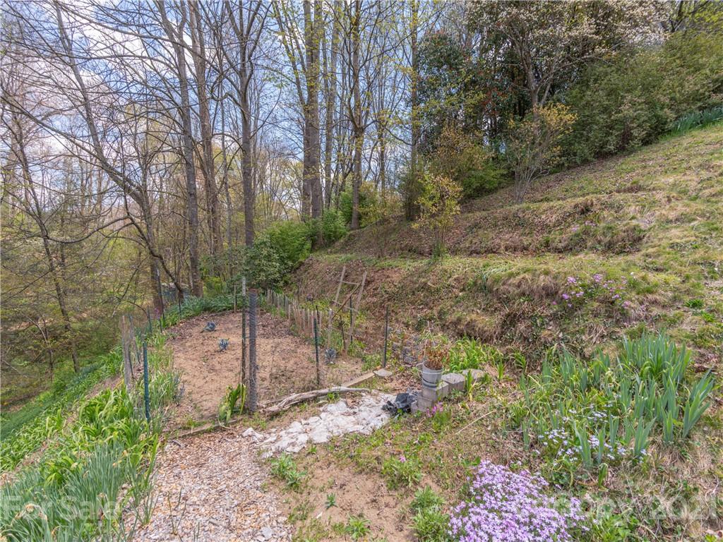 313 Shady Ridge Road Waynesville, NC 28785 - Photo 20 of 28 Gallery Image 20