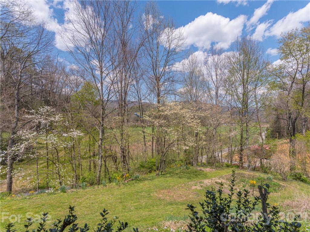 313 Shady Ridge Road Waynesville, NC 28785 - Photo 3 of 28 Gallery Image 3