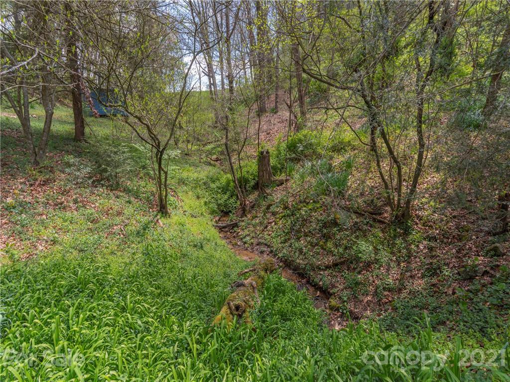 313 Shady Ridge Road Waynesville, NC 28785 - Photo 22 of 28 Gallery Image 22