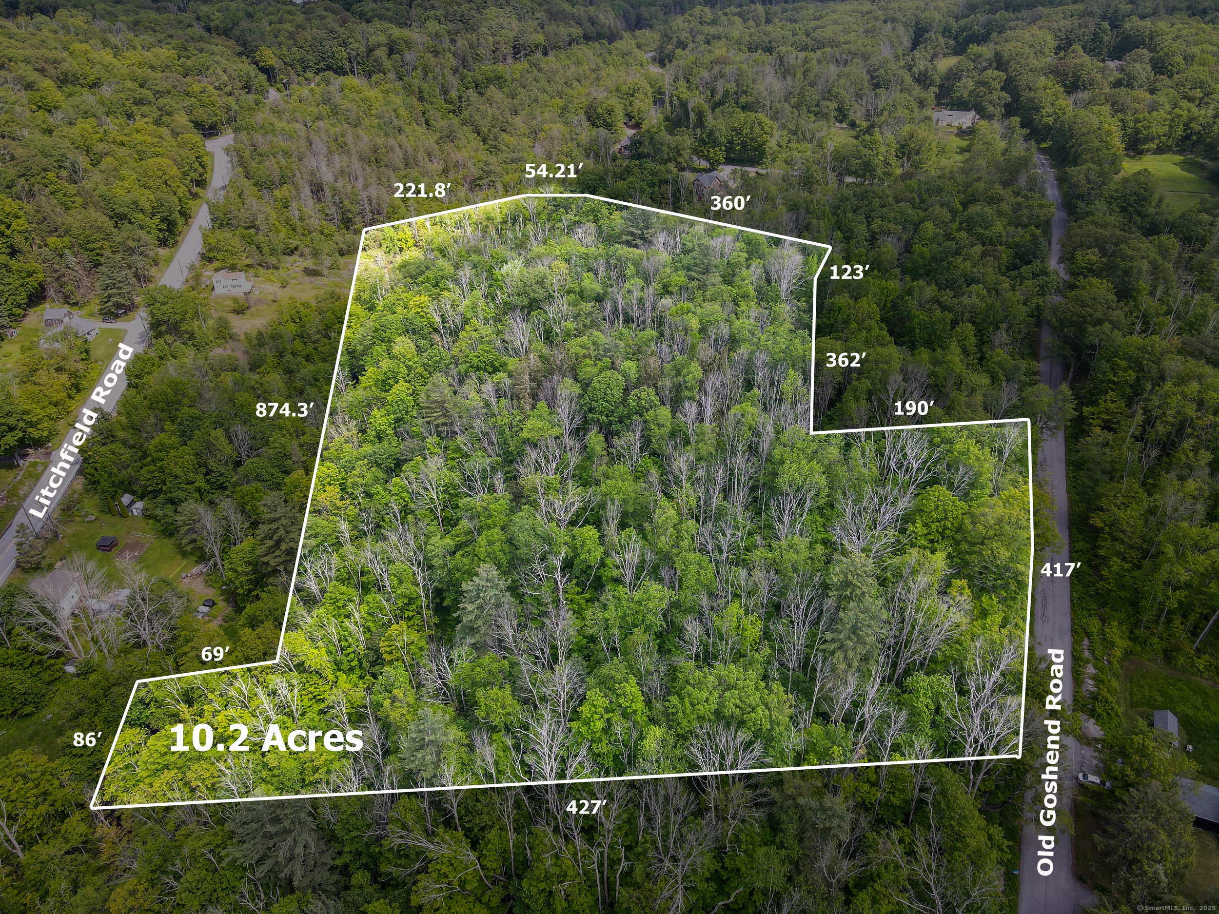 Old Goshen Road Norfolk, CT 06058 - Photo 2 of 8 a view of a forest