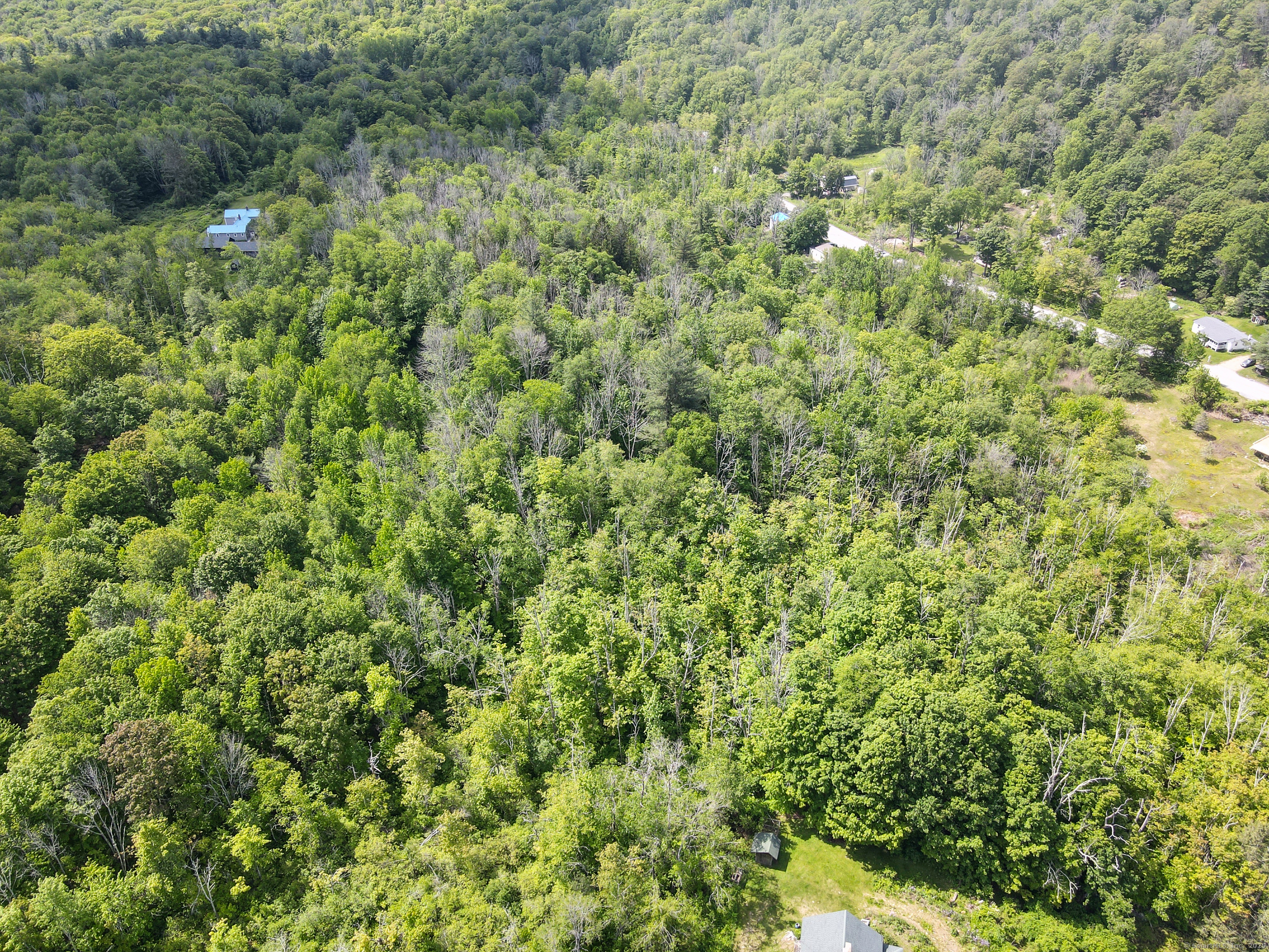 Old Goshen Road Norfolk, CT 06058 - Photo 5 of 8 a view of a big yard with plants and large trees