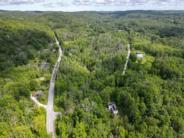 a view of a forest with a street