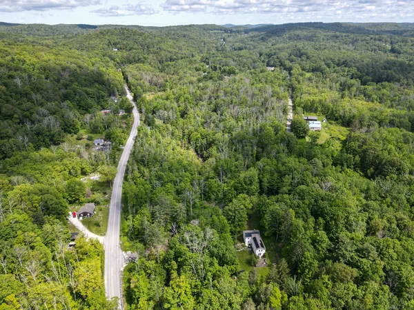 a view of a forest with a street